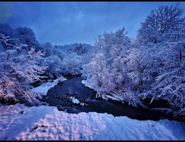 Vikend Kuca Dokovic - Jahorina Vila Pale Exterior foto